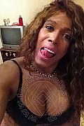 Mestre Transex Paolina Mulatta 333 2910933 foto selfie 4