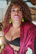 Mestre Transex Paolina Mulatta 333 2910933 foto selfie 1