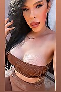 Desenzano Del Garda Transex Gabriella Gandini 371 4818868 foto selfie 22