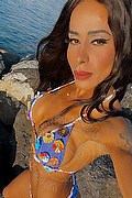 Udine Transex Nicolly Di Biaggi 389 5463285 foto selfie 3