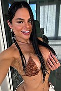 Barletta Transex Patricia Arcanjo 338 1741476 foto selfie 4