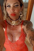 Treviso Transex Valeria 338 8718849 foto selfie 15