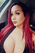 Milano Transex Leysi Mishelle 388 1553206 foto selfie 15