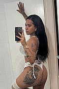 Livorno Transex Iris Brasiliana 328 5793691 foto selfie 10