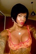 Viareggio Transex Diana Marini 328 0291220 foto selfie 10