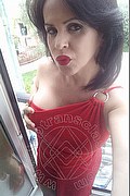 Cabo Frio Transex Raffaella Bastos 0055 62996339624 foto selfie 38