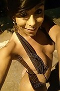 Sanremo Transex Vivy Noronha 333 1867209 foto selfie 14