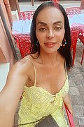 Padova Transex Kartika 349 2231753 foto selfie 3