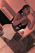 Verona Transex Gina Latina 327 4716071 foto selfie 7