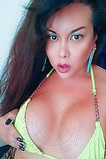 Cinisello Balsamo Transex Barbarita 333 8239139 foto selfie 8