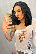 Bologna Transex Brunna Campanaro 351 0706381 foto selfie 2