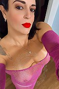 Milano Transex Gaby 388 5675645 foto selfie 5