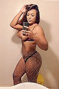 Milano Transex Viviane D'Oro 352 0166989 foto selfie 14