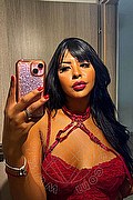 Porto Sant'elpidio Transex Melly Ferraz 389 7924141 foto selfie 1