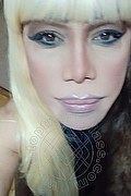 Bergamo Transex Nicole Vip Venturiny 353 3538868 foto selfie 200