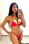 Verona Transex Paula Lucarely 327 2772495 foto selfie 1