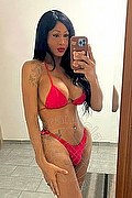 Verona Transex Paula Lucarely 327 2772495 foto selfie 2