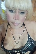 Bergamo Transex Nicole Vip Venturiny 353 3538868 foto selfie 107