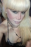 Bergamo Transex Nicole Vip Venturiny 353 3538868 foto selfie 98