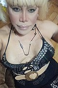 Bergamo Transex Nicole Vip Venturiny 353 3538868 foto selfie 65