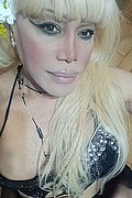 Bergamo Transex Nicole Vip Venturiny 353 3538868 foto selfie 61