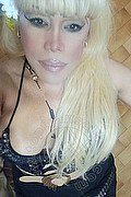 Bergamo Transex Nicole Vip Venturiny 353 3538868 foto selfie 59