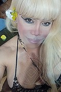 Bergamo Transex Nicole Vip Venturiny 353 3538868 foto selfie 38