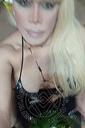 Bergamo Transex Nicole Vip Venturiny 353 3538868 foto selfie 31