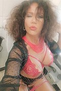 Livorno Transex Alessia Sexy 327 7787643 foto selfie 14