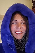 Udine Transex Federica Class Novit� 345 4677234 foto selfie 3