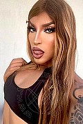 Torino Transex Vicky 329 4040985 foto selfie 26