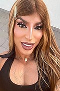 Torino Transex Vicky 329 4040985 foto selfie 25