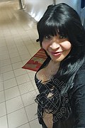 Prato Transex Taina Oliveira 328 5382487 foto selfie 20