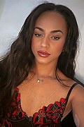 Bologna Transex Victoria New 339 4337857 foto selfie 7