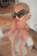 Treviso Transex Valeria 338 8718849 foto selfie 1