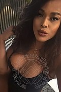 Milano Transex Viviane D'Oro 352 0166989 foto selfie 10