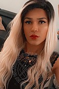 Torino Transex Giulia Araujo 327 3719219 foto selfie 56