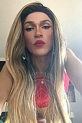 Torino Transex Giulia Araujo 327 3719219 foto selfie 4