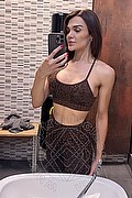 Forl� Transex Renata Cavalcante 388 8287575 foto selfie 3