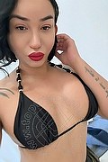 Parma Transex Mimi Pulgarin 350 8955537 foto selfie 1