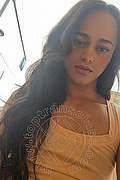 Bologna Transex Victoria New 339 4337857 foto selfie 23