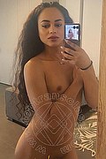 Bologna Transex Victoria New 339 4337857 foto selfie 4