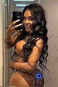 Verona - Trento - Bolzano Transex Donna Bella 350 8585567 foto selfie 1