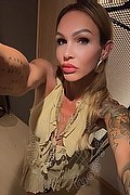Treviso Transex Valeria 338 8718849 foto selfie 1