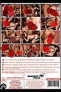 Montemarciano Transex Drielly Riuston Pornostar 329 3405776 foto sexystar 6
